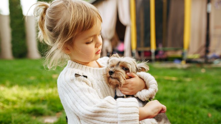 Small Dog Breeds for Kids