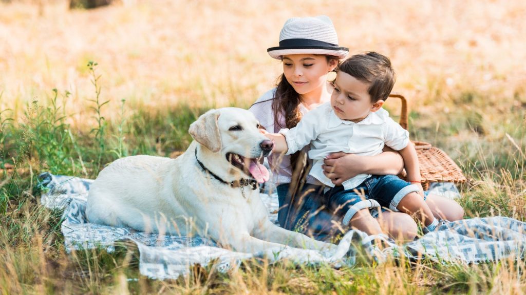 Best Small Dogs Breeds For Kids