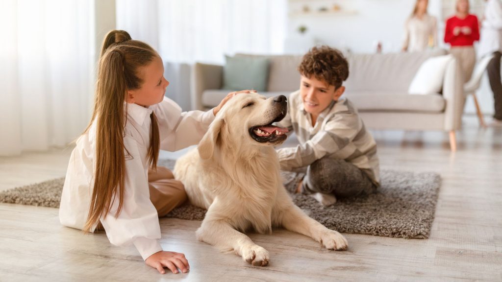 Best Dog Breeds For Kids