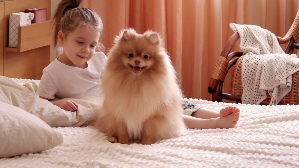 Best Small Dogs Breeds For Kids