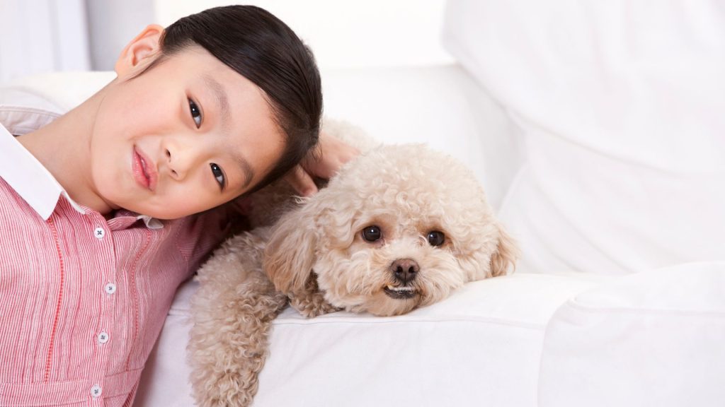 Best Dog Breeds For Kids