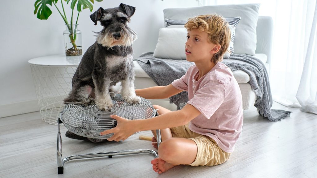 Best Small Dogs For Kids