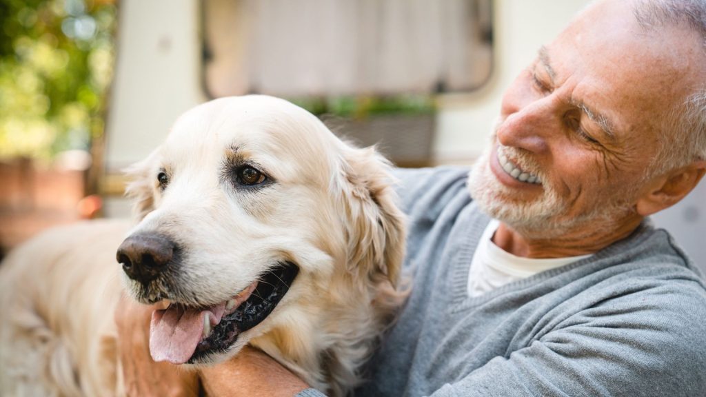 Senior man with a large dog.