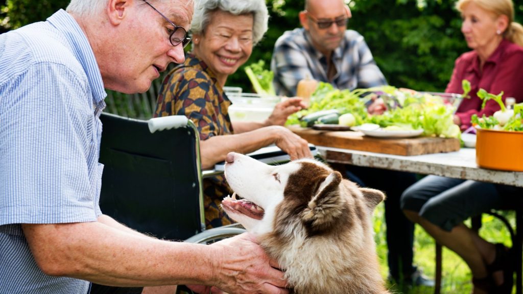 Elderly man with a large dog and friends.