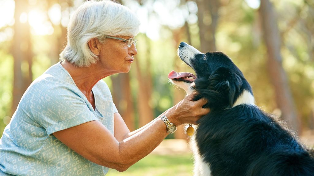 Elderly woman with a large dog in the park.