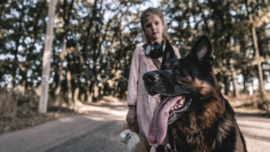 German Shepherd with a child, illustrating which dog breed is most loyal.