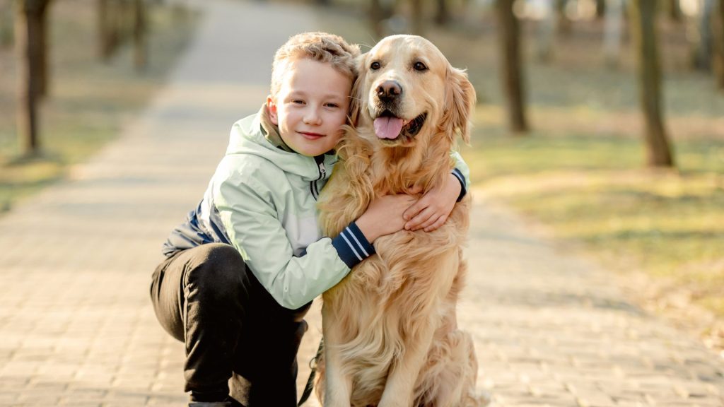 Golden Retriever with a child, showing which dog breed is most loyal.