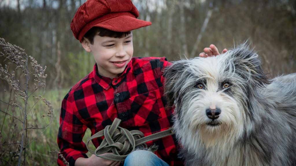 Boy with a cap petting a fluffy gray dog.