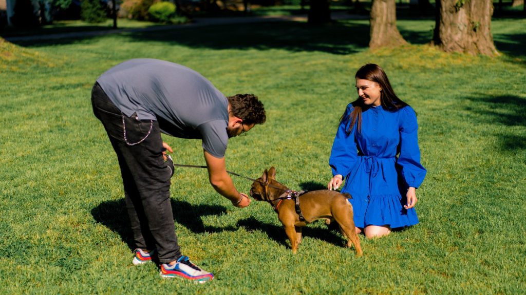 A man and woman training a small dog outdoors with treats.