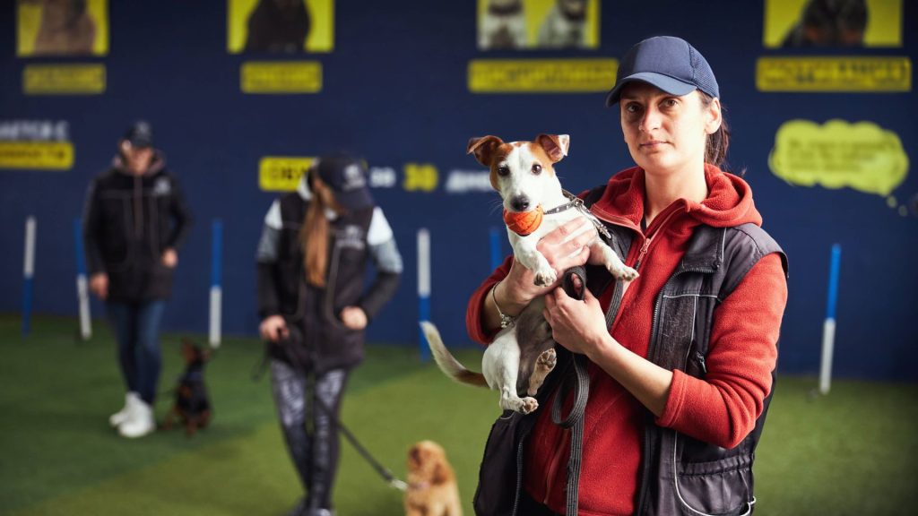 A woman holding a small dog with a ball, while others train their dogs in the background.