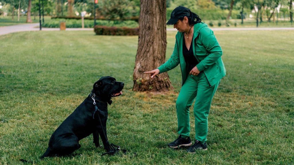 A woman in green training a large black dog outdoors using hand signals.