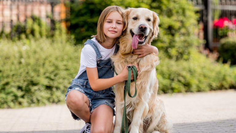 Red Golden Retrievers: Key Traits and How to Care for Them