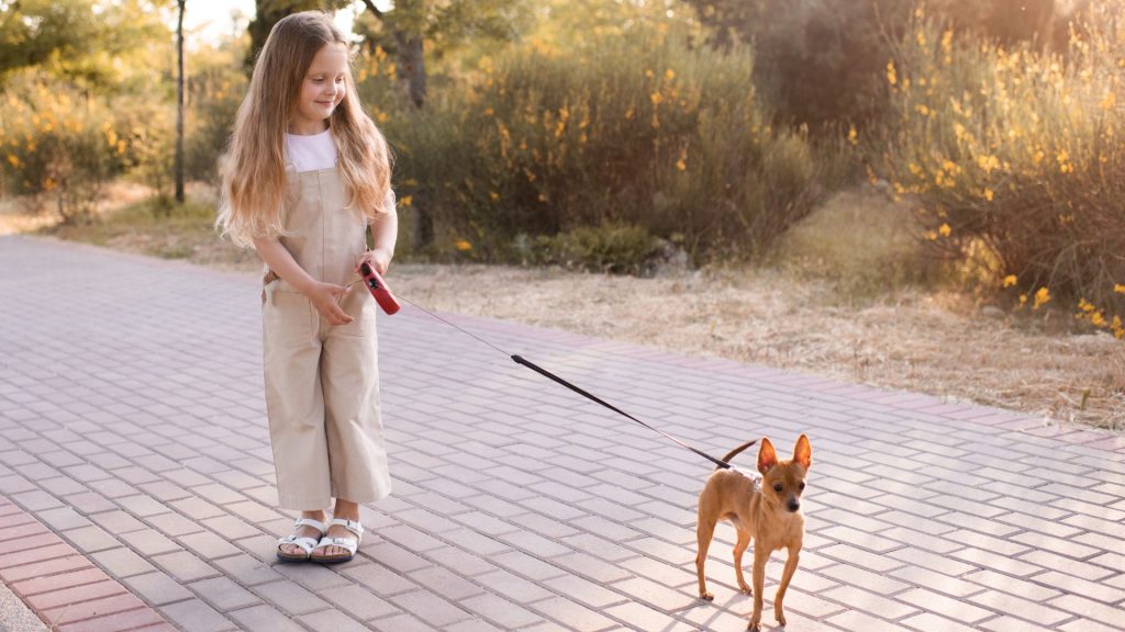 Skinny-Dog-Breeds: A young girl walking a slender small dog on a leash in a park.