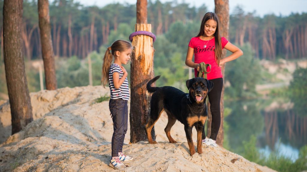 Two girls with a black dog in the woods, representing a breed starting with 'H.'