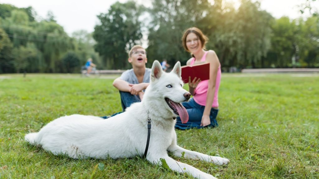 White dog lying on grass with two kids, a breed to avoid for autism.