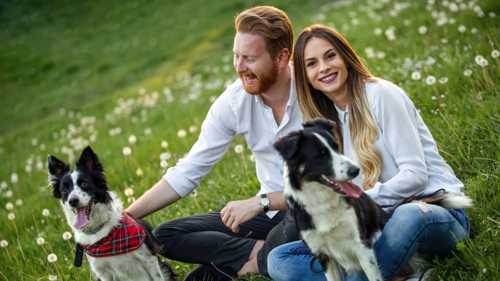 Couple sitting with two dogs featuring distinct occiputs in a field.