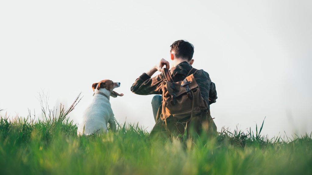 Person with backpack sitting on grass with small hunting dog.